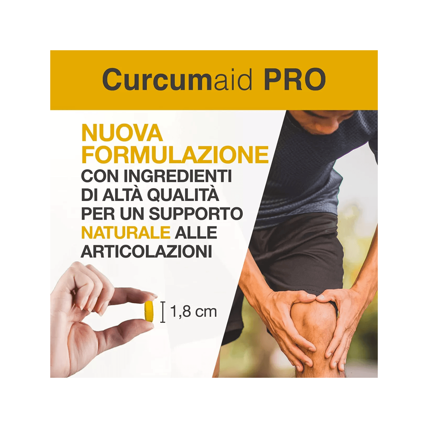 250 Capsule PROBIOTICI + Curcuma BIO con Zenzero e Pepe Nero, 1460 mg, Curcuma Capsule con Curcumina e Piperina, Disinfiammante Naturale, Formula Avanzata